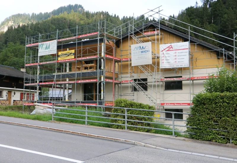 Schindelholz1
