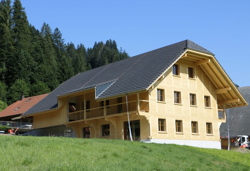Schöpfer Andreas 0